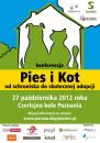 Pies i kot – by każdy miał swój dom