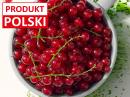 Sezon na polskie owoce trwa – specjalna oferta od Lidl Polska