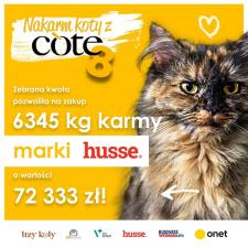 8 edycja akcji „Nakarm koty z COTE” – zakończona REKORDOWYM wynikiem!