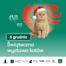 Mikołajki w Galerii Pomorskiej – rodzinne atrakcje, prezenty i pomoc zwierzakom