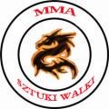 logo: MMA i Sztuki Walki