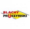 logo: Pruszyński P.G Sp. z o.o.