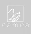 logo: CAMEA  Instytut Medycyny Estetycznej 