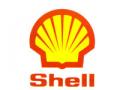 logo: Shell Polska