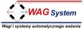 logo: WAGSYSTEM