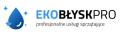 logo: Eko Błysk Pro Natalia Bab