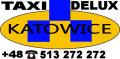 logo: TAXI - DELUX