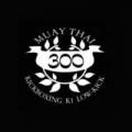 logo: Muay Thai 300 Warszawa Boks Tajski