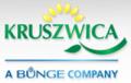 logo: Kruszwica
