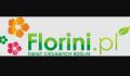 logo: Florini