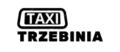 logo: Taxi Ireneusz Majewski