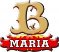 logo: Firany, zasłony - PHU export-import „MARIA”