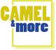 CAMEL&more