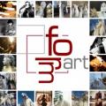 logo: Fundacja Form.Art