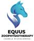 Fizjoterapia koni fizjoterapeuta koni Equus Zoophysiotherapy