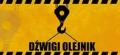 logo: Dźwigi-Olejnik Damian Olejnik