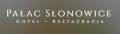 logo: Pałac Słonowice