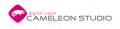 logo: Cameleon Studio | Realizacje filmowe | Timelapse | Teledyski | Filmy reklamowe