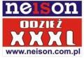 logo: Neison