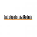 logo: Introligatornia BUDNIK