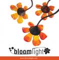 logo: Studio Bloomlight - oświetlenie