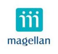 logo: Magellan S.A.