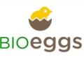 logo: Bio Eggs Aksu Spółka Jawna 
